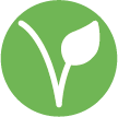 icono vegetariano. Lo+Bar. LoMás, Dermatología y Medicina Estética Integral